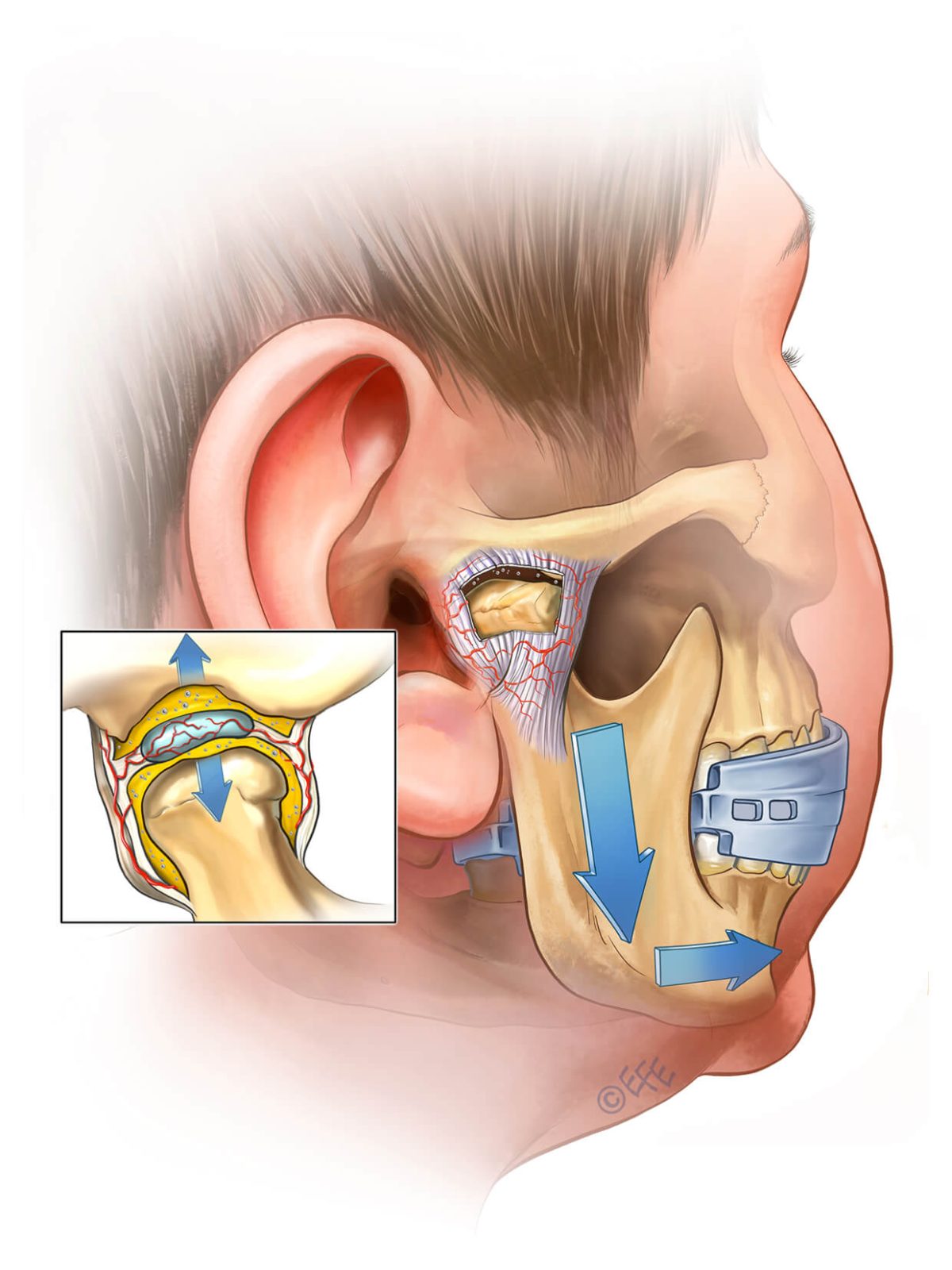 MOJO for CHILDREN SPECIAL - Image 6